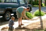 Yard Apes