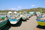 The Fleet