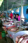 The Market