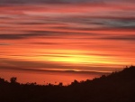 Catalina Aglow