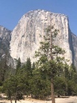 Great View