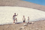 Snow Birds