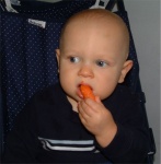 Carrot Lover